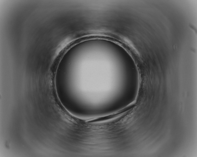 X0000097751360200803141547