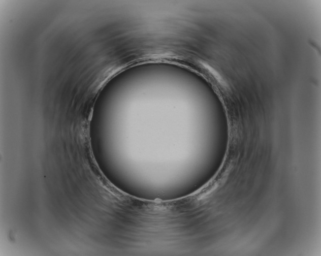 X0000097751361200803141547