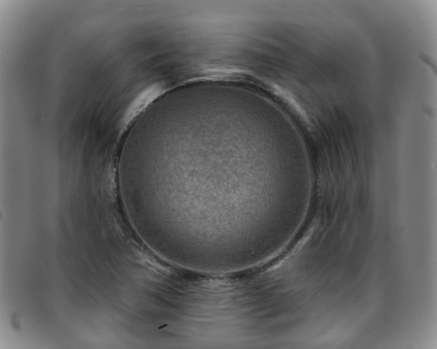 X0000097751362200803141547