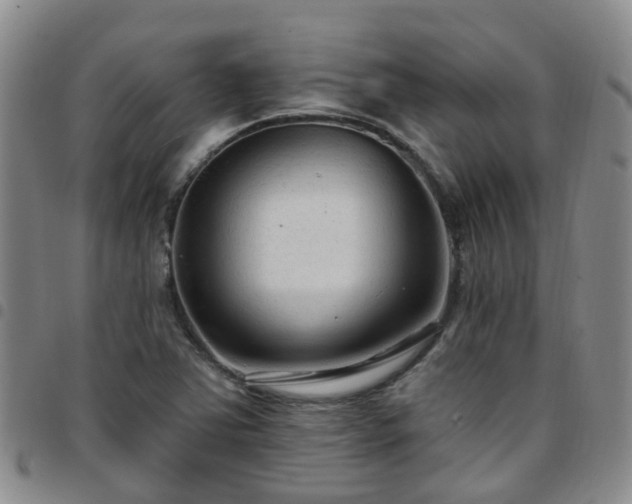 X0000097751363200803141547