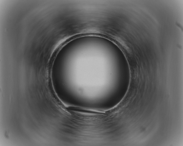 X0000097751364200803141547