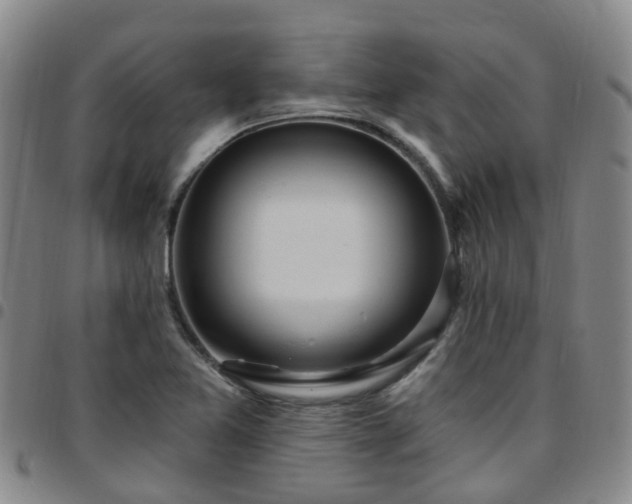 X0000097751365200803141547