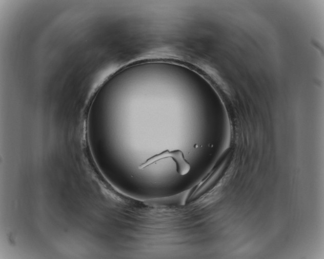 X0000097751366200803141547