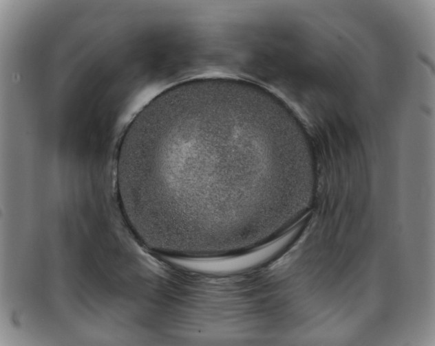 X0000097751367200803141547