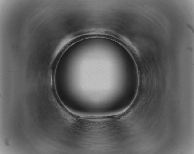 X0000097751368200803141547