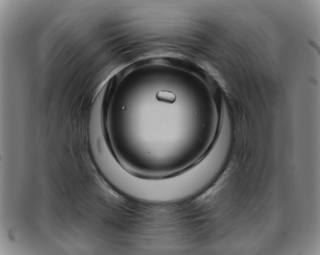 X0000097751369200803141547