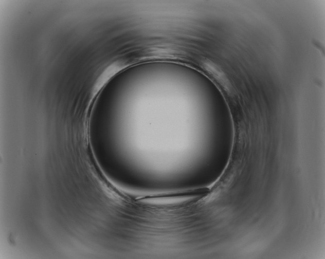 X0000097751370200803141547