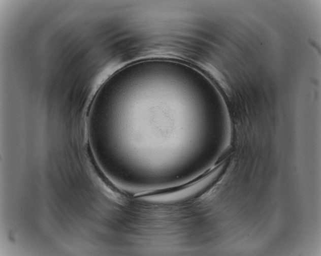 X0000097751371200803141547