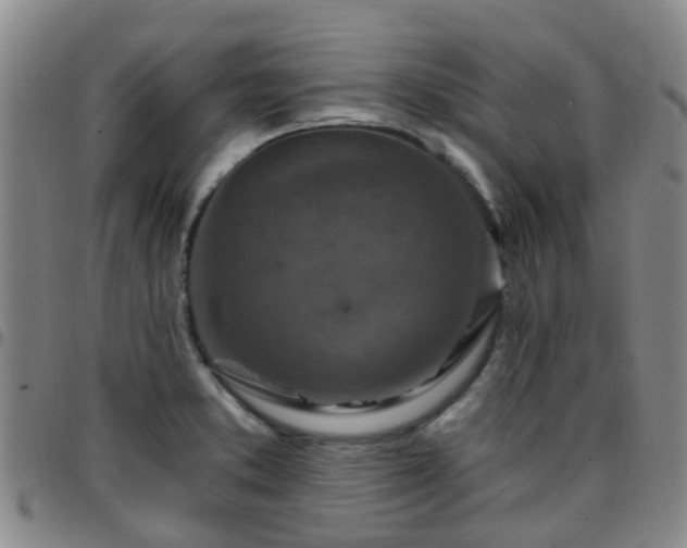 X0000097751373200803141547