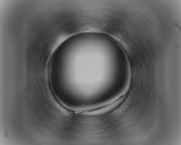 X0000097751375200803141547