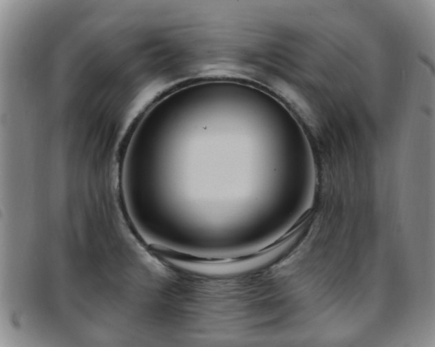 X0000097751376200803141547