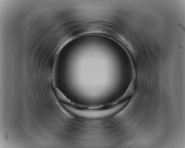 X0000097751377200803141547