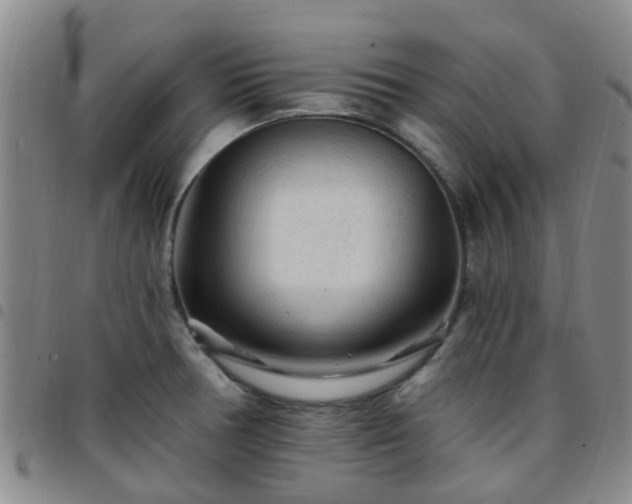 X0000097751378200803141547