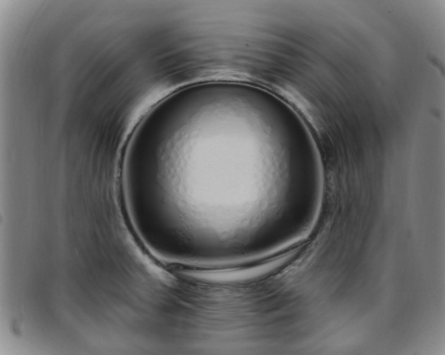 X0000097751379200803141547