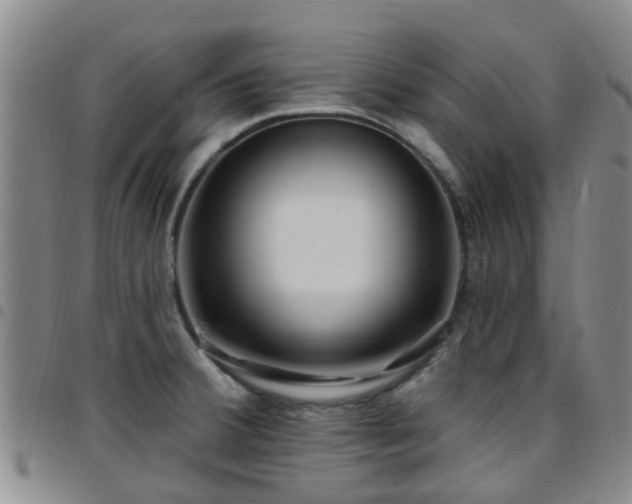 X0000097751380200803141547