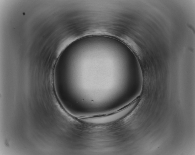 X0000097751382200803141547