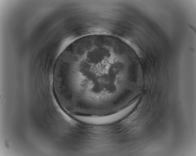 X0000097751383200803141547