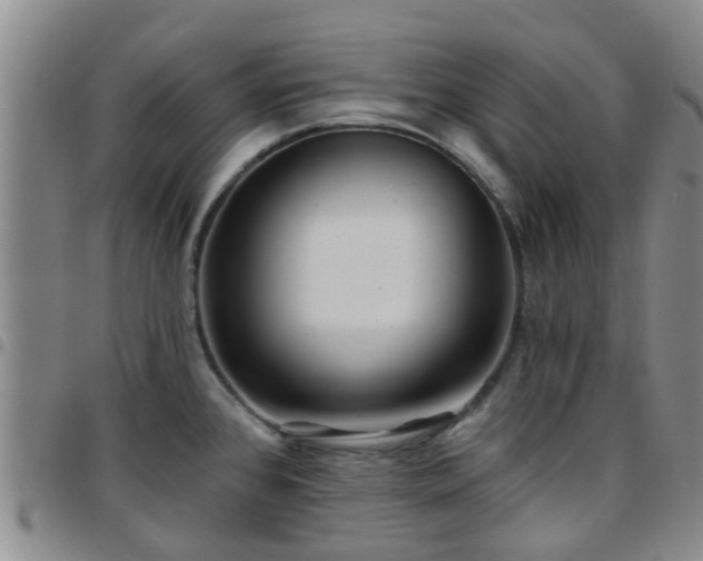 X0000097751384200803141547