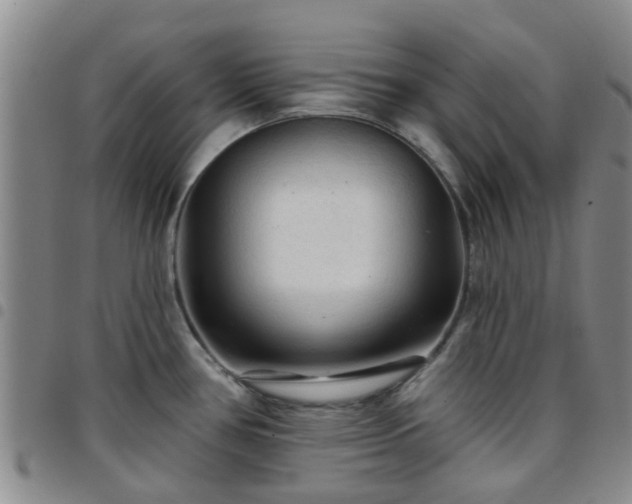 X0000097751386200803141547