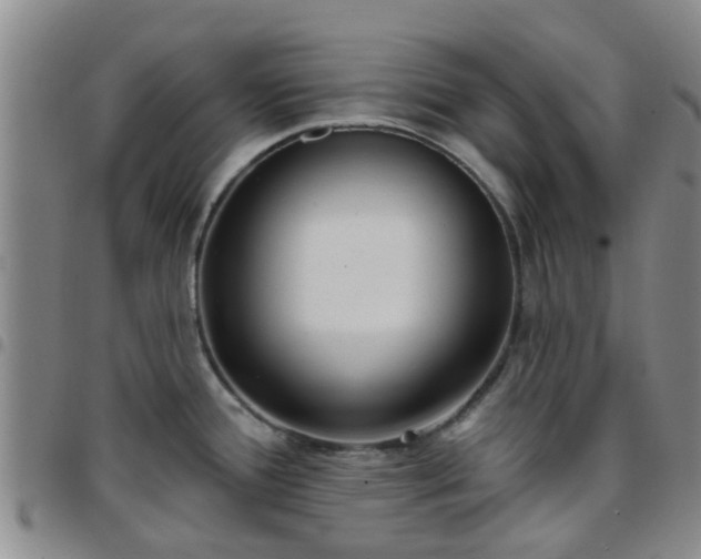 X0000097751388200803141547