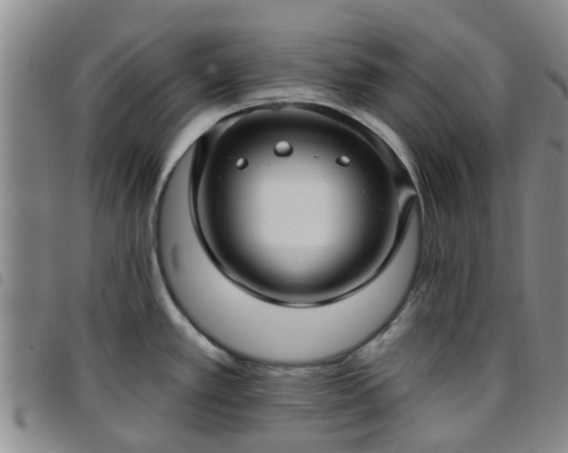 X0000097751389200803141547