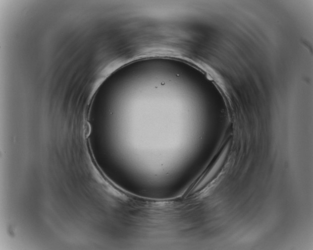 X0000097751390200803141547