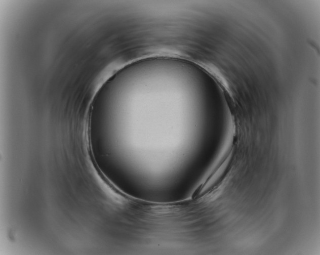 X0000097751391200803141547