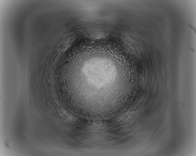 X0000097751393200803141546