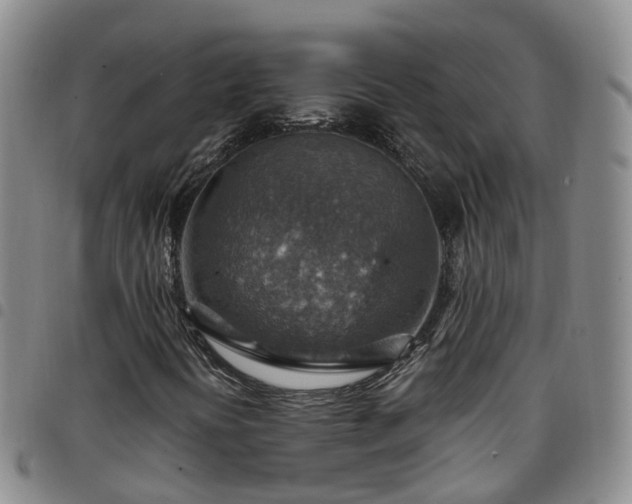 X0000097751394200803141546