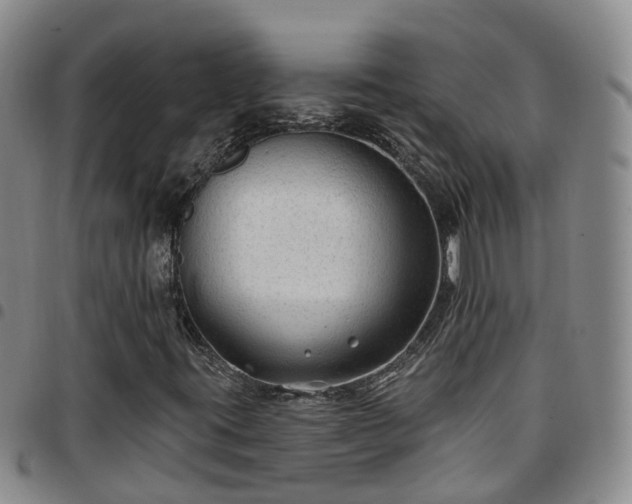 X0000097751395200803141546