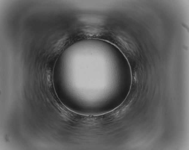 X0000097751396200803141546