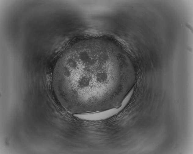 X0000097751397200803141546