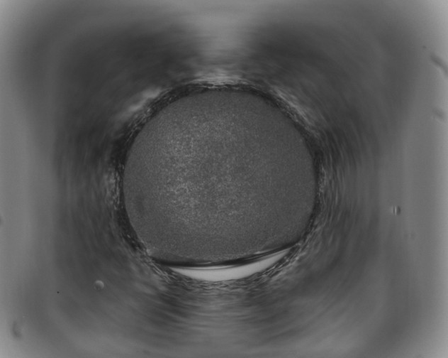 X0000097751398200803141546