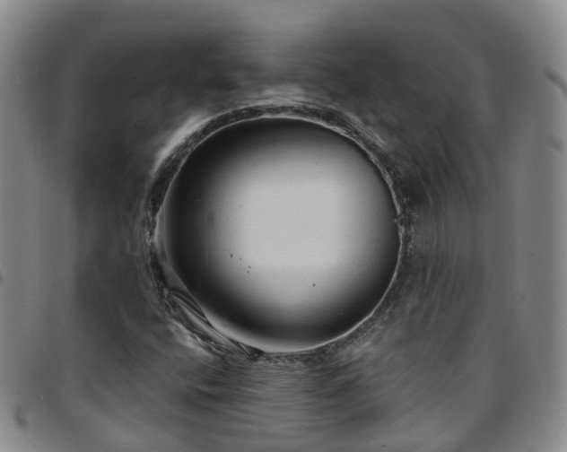 X0000097751400200803141546