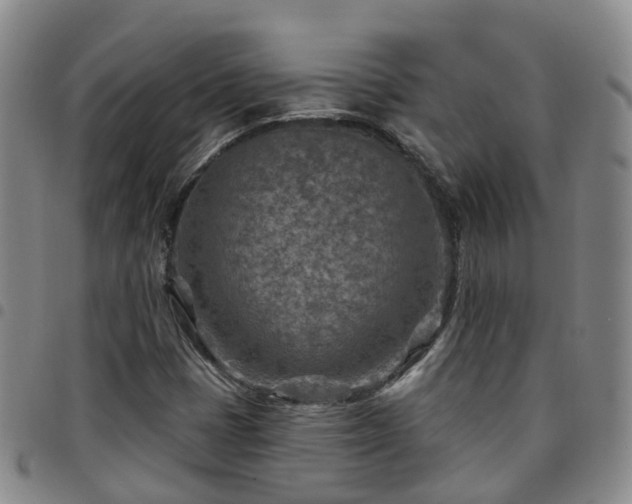 X0000097751401200803141546