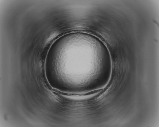 X0000097751402200803141546