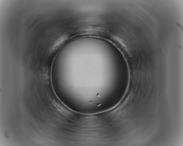 X0000097751403200803141546