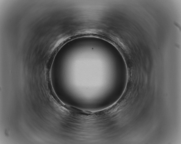 X0000097751404200803141546