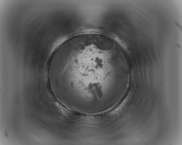 X0000097751405200803141546