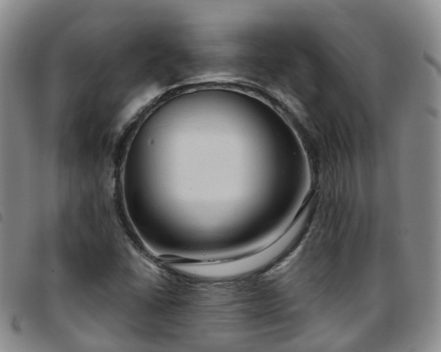 X0000097751406200803141546