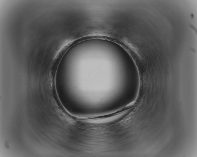 X0000097751408200803141546