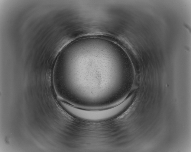 X0000097751409200803141546