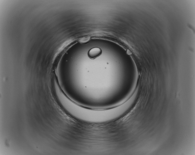 X0000097751410200803141546