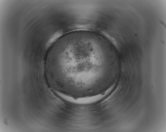 X0000097751411200803141547