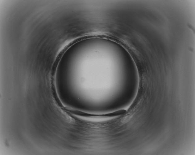 X0000097751412200803141547