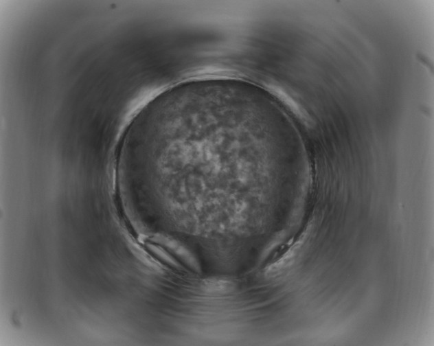 X0000097751413200803141547