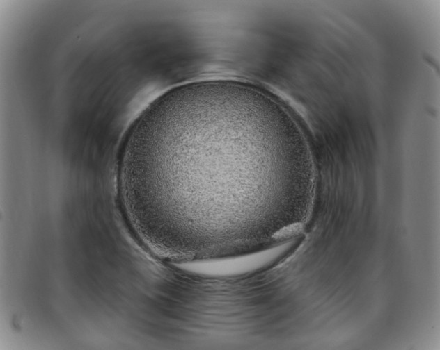 X0000097751415200803141547