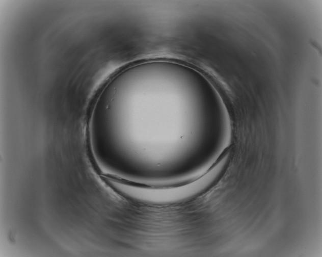 X0000097751416200803141547