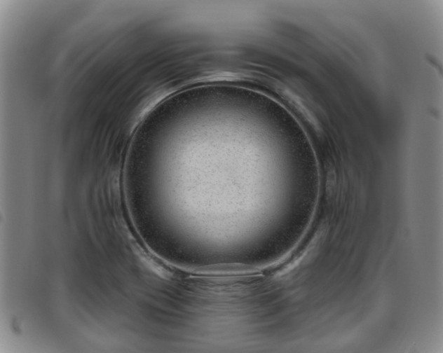 X0000097751417200803141547