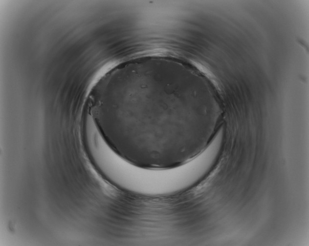 X0000097751418200803141547